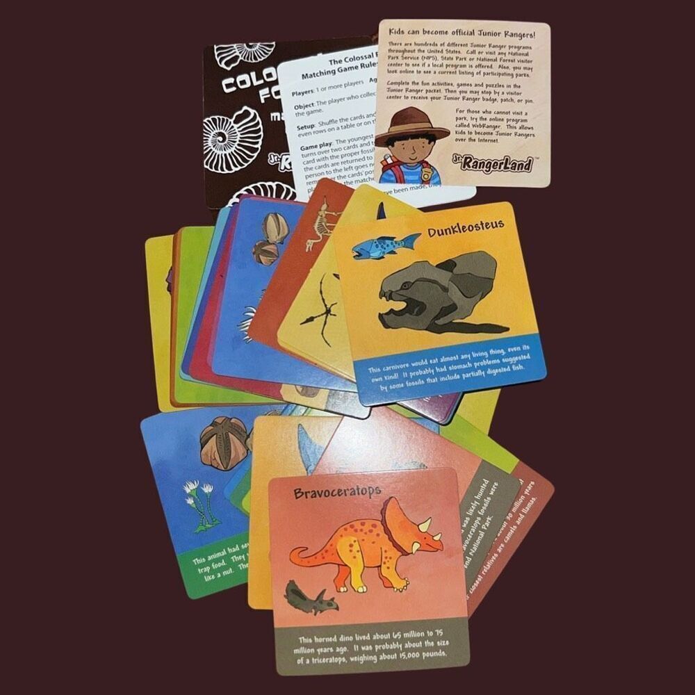The Colossal Fossil Matching Card Game - Picture 3 of 5